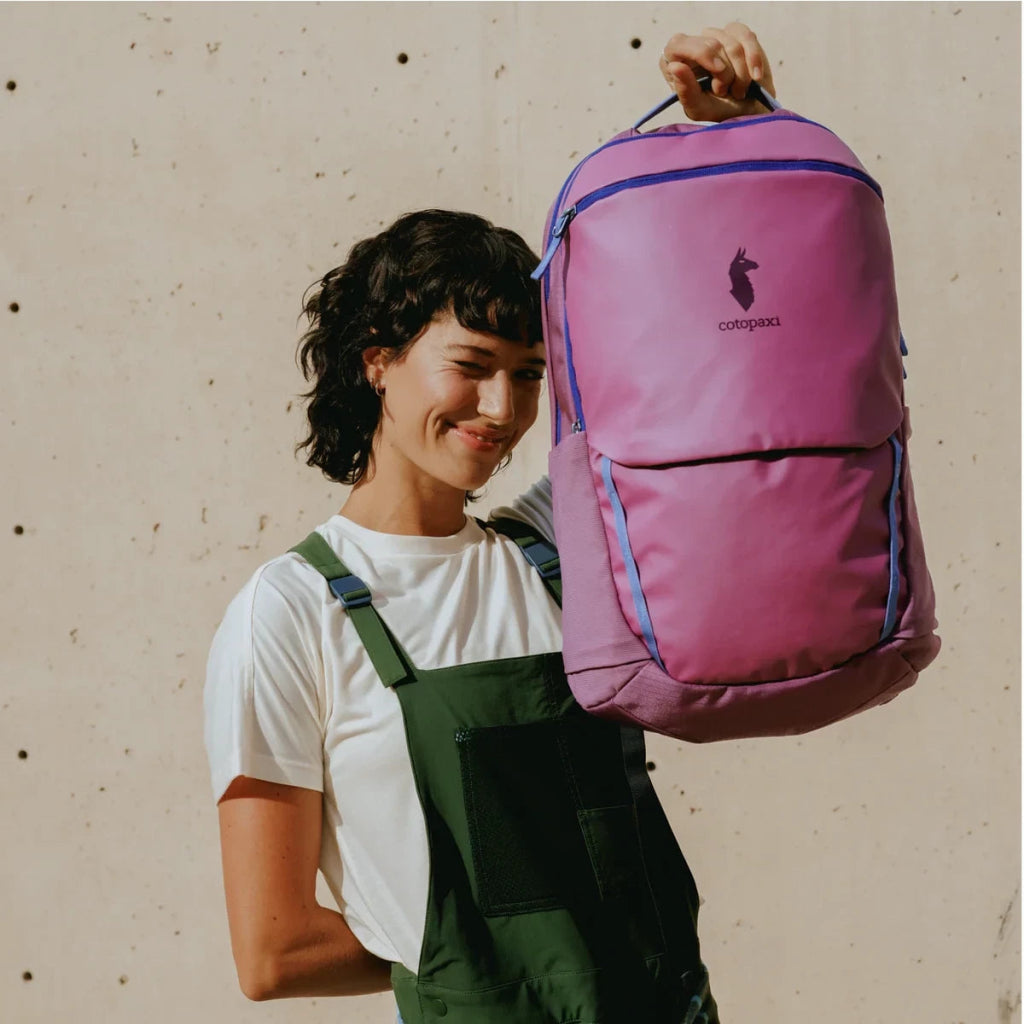 Cotopaxi Allpa 26L Daypack - Hill and Dale Outdoors
