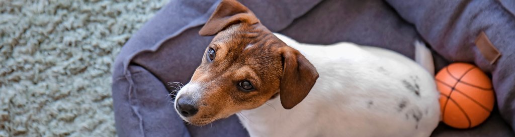 Beds - Hill and Dale Outdoors